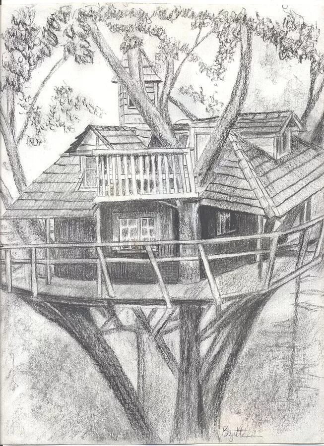 Tree house drew