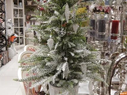 Елки 2015