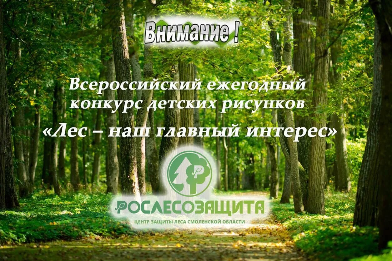 Международный день лесов в детском саду. Лесной конкурс это интересно. Международный день лесов. День леса. Волоколамская средняя общеобразовательная школа 3.