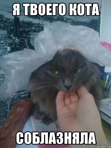 Наиля мем. Вася мем. Почему уу. Когда не знаешь что ответить. Улюлю мем кувырок.