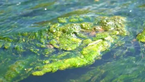 Водный 20