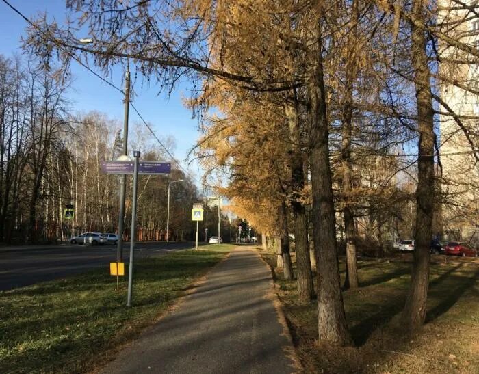 Каштановое индекс. Улица каштановая аллея калининград. Каштановая аллея коломна. Каштановое индекс. Вилла крамер калининград.