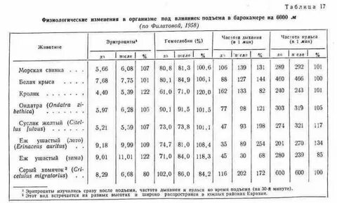 Норма сокращения рубца