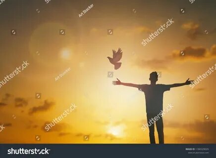 Rising morning