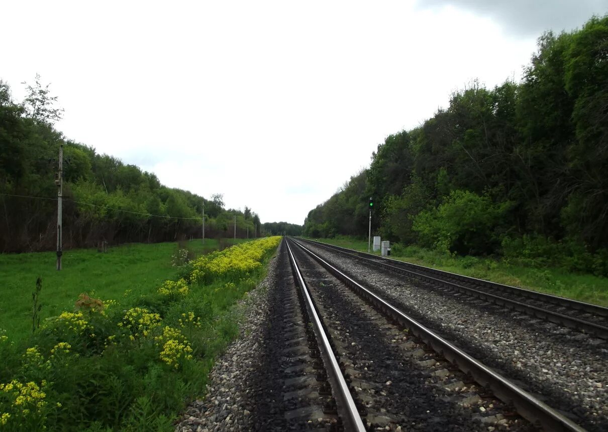 Дпм1 депо новомосковск. Электрификация железной дороги ожерелье-елец. Ожерелье елец. Электрификация ожерелье-узловая-елец. Железная дорога узловая - елец.