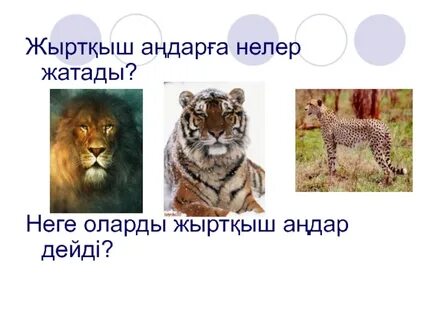 Ене ең жақсы порноға түседі