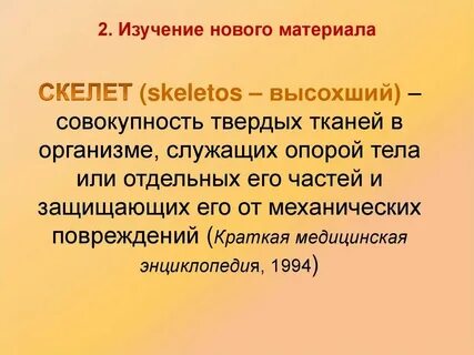 Скелет это в биологии