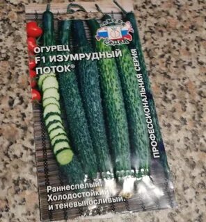 Описание огурцов изумрудный поток