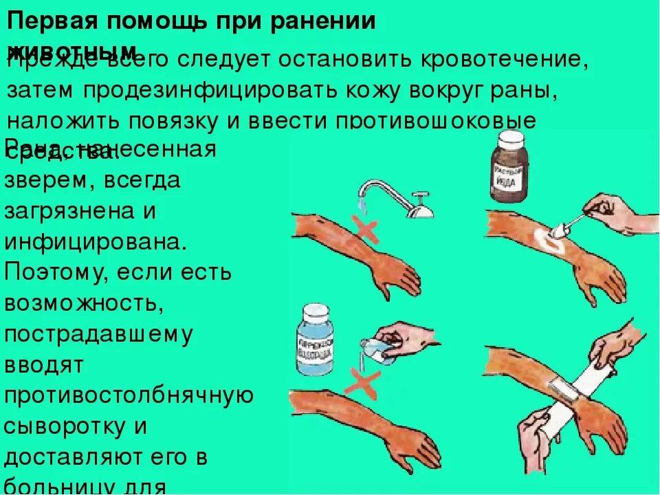 Алгоритм оказания первой помощи при осколочном ранении. Перечислите этапы оказания первой помощи при ранах. Опишите общий порядок оказания первой помощи при ранении. Первач помощь при рпнении. Этапы первой помощи при ранениях