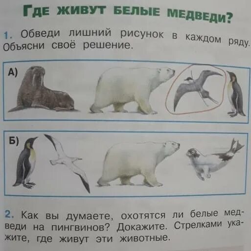 Задание к тексту белый медведь