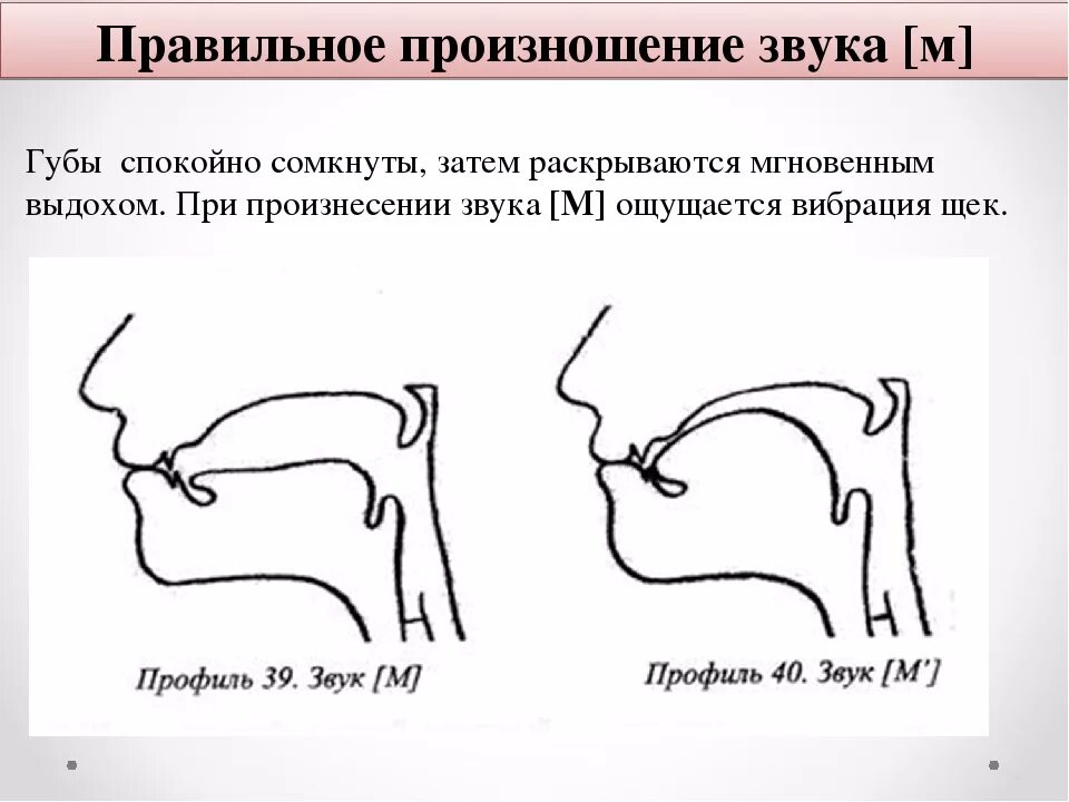 Артикуляция звука м. Правильная артикуляция м. Звук м произношение. Правильная артикуляция звука м.