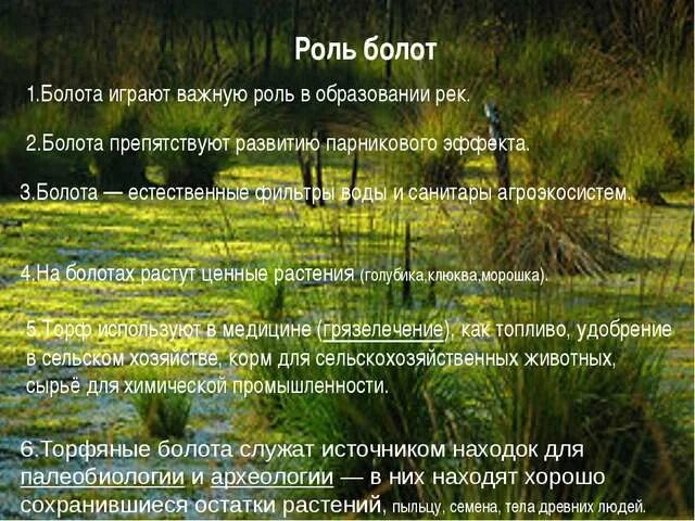 Значение болот в природе и жизни человека. Значение болота в природе. Сообщение о роли болот в природе. Болота презентация. Значение болот для человека.