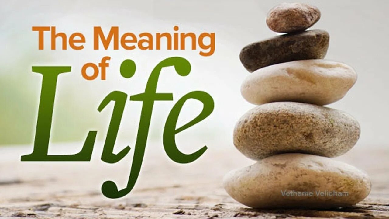 Them of life meaning of. Meaning of Life. Meaning. What is the meaning of Life. Meaning картинка.