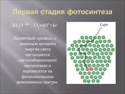 На 1 этапе молекулы