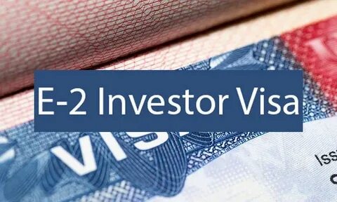E visa