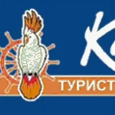 Турфирма какаду нижний. Какаду Октябрьский. Какаду зоомагазин. Какаду турфирма. Какаду магазин Калининград логотип.