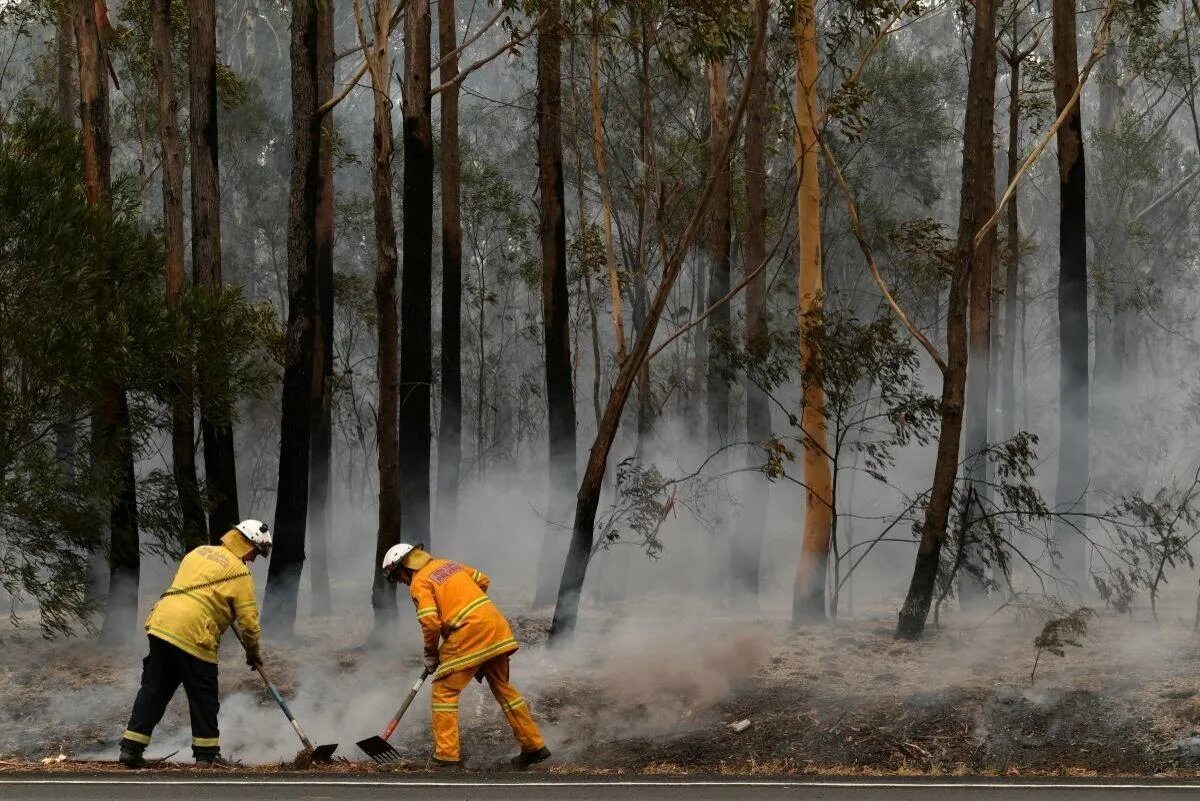 Природа восстановилась. Лесные пожары в Австралии 2019-2020. Тушение лесов в Австралии пожарные. Пожары в Австралии 2020. Пожар леса в Австралии.