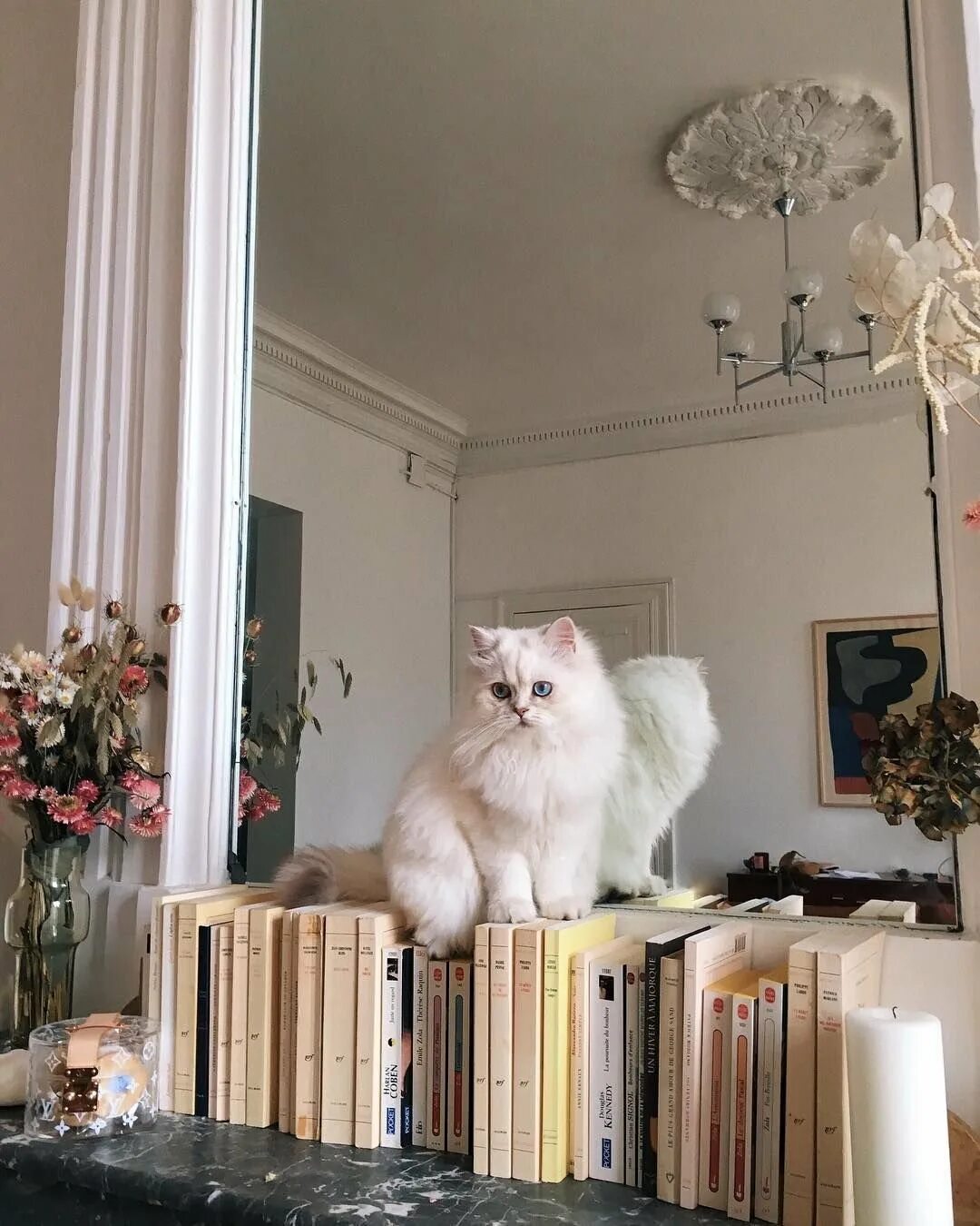 Котик в цветах эстетика. Эстетика кошечек. Дом для кошки. Шикарный кот. Коты фото эстетика.
