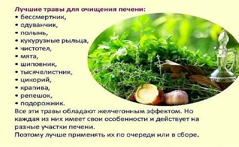 Восстановим печень народными средствами. Чистка и восстановление печени. Продукты для очищения печени. Продукты которые очищают печень.