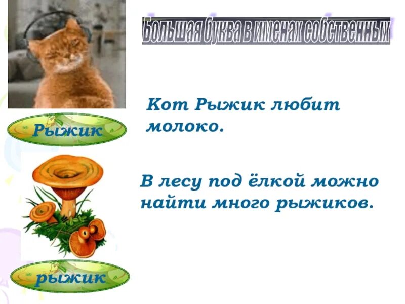 Составить предложение со словом рыжик. Предложение со словом рыжик. предложения со словами рыжик, рыжик. придумать предложение со словом рыжик. 2 предложения со словом рыжик.