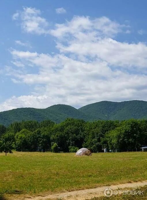 Криница пансионат кубанского аграрного. Пионерский лагерь кубань криница. Дсок криница геленджик. Криница кубанский аграрный университет лагерь. Криница лагерь кубанского университета.