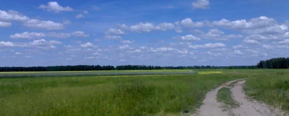 Кудровка черниговская область село. Село ильмовка черниговская область. Буды черниговская область. Село смяч. Село домашлин черниговской обл.