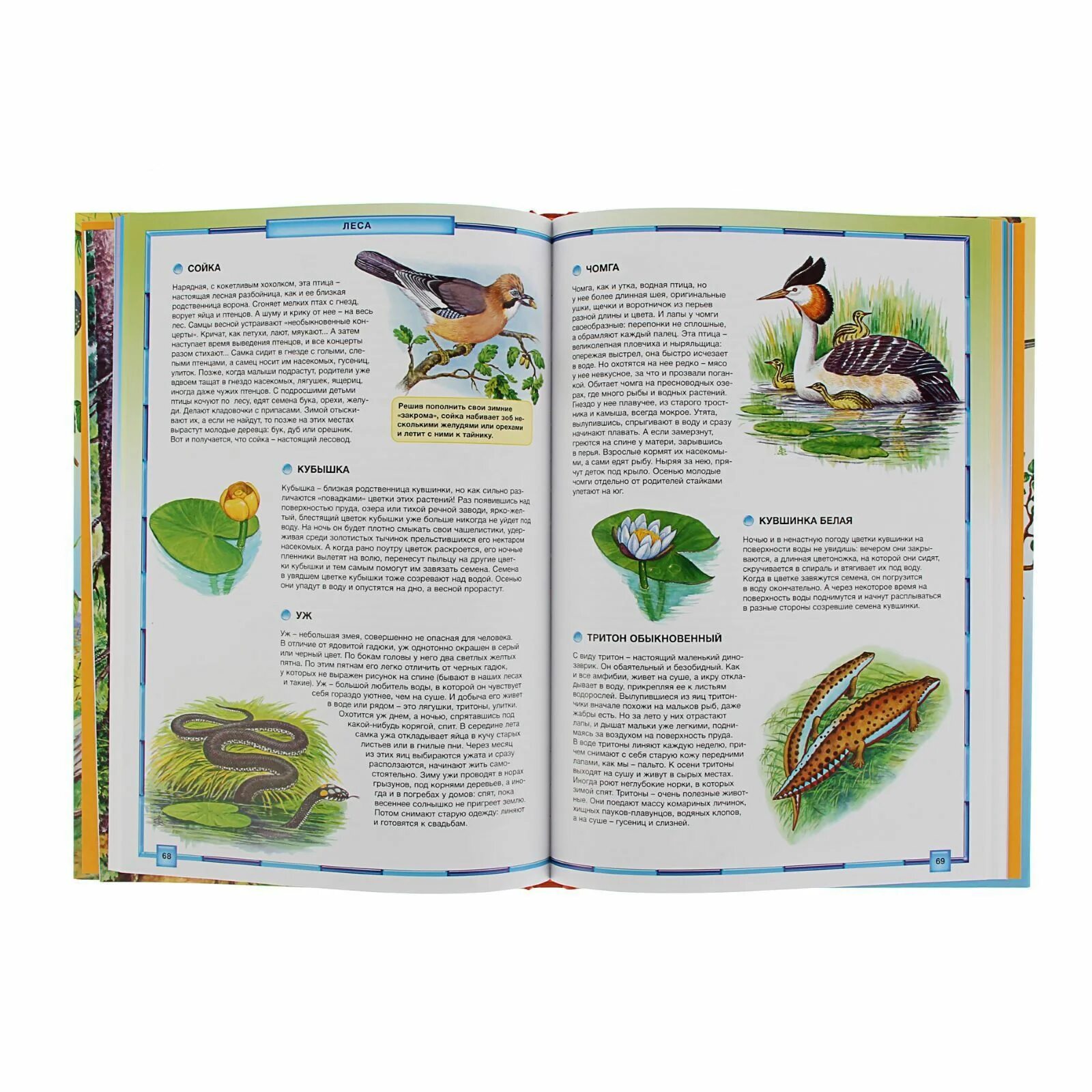 Природа москвы книги. Природа россии иллюстрированная энциклопедия. Природа москвы книги. Атлас по охране природы. Природа москвы книги.