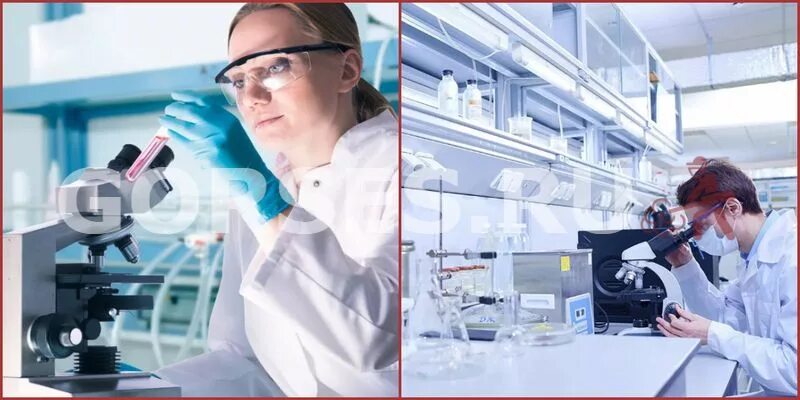 Югдом спортзал. Бронницы улица советская 63а. Проксима воскресенск. Лаборатория бронницы. Лаборатория бронницы.