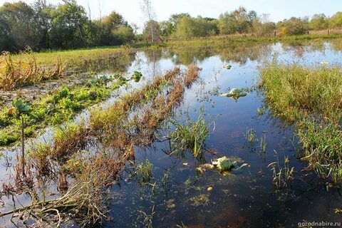 Хабаровский край еао