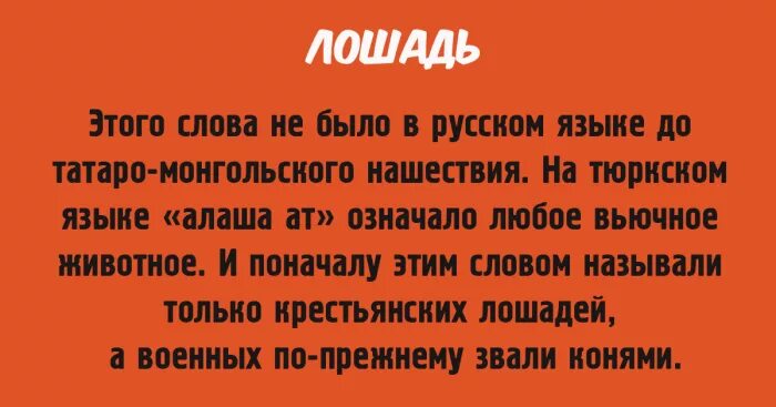 Что значит по любому. Интересные слова с интересным происхождением. Сланцы происхождение слова. Слова с необычным происхождением. Русские слова с интересным происхождением.