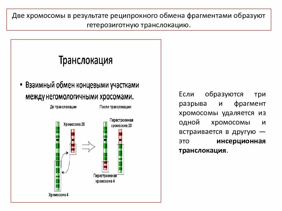 Картирование гена. Принципы и методы генетического картирования. методы картирования генов. методы молекулярной генетики физическое и генетическое картирование. методы картирования хромосом человека.