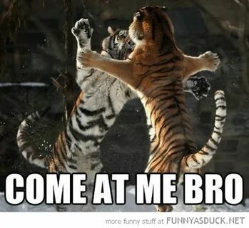 I am tiger