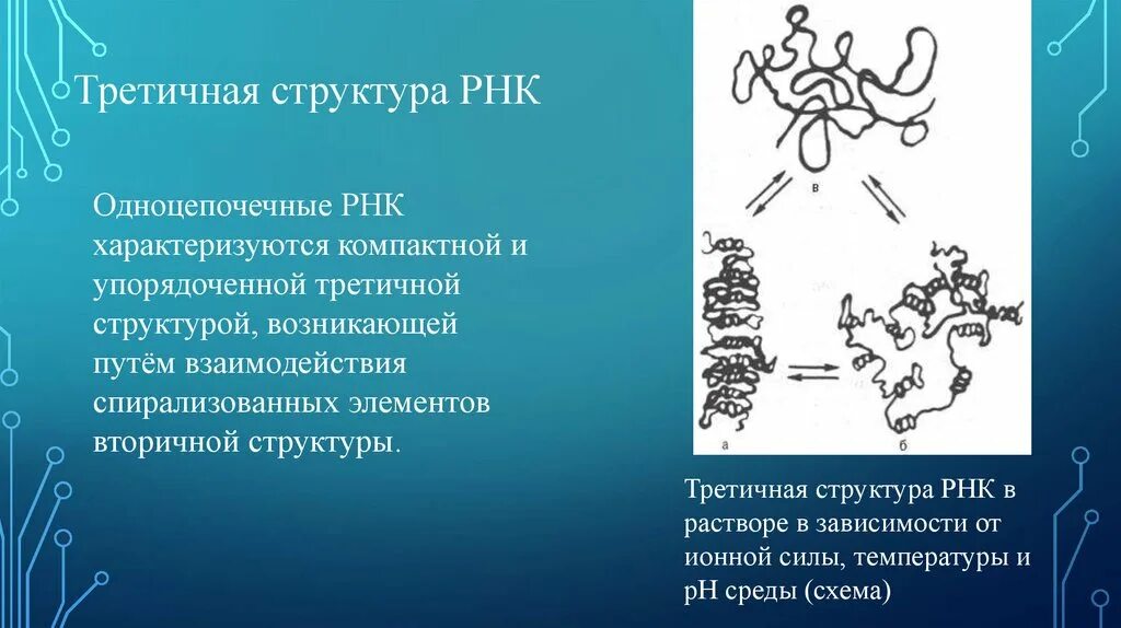 Возникнуть строение
