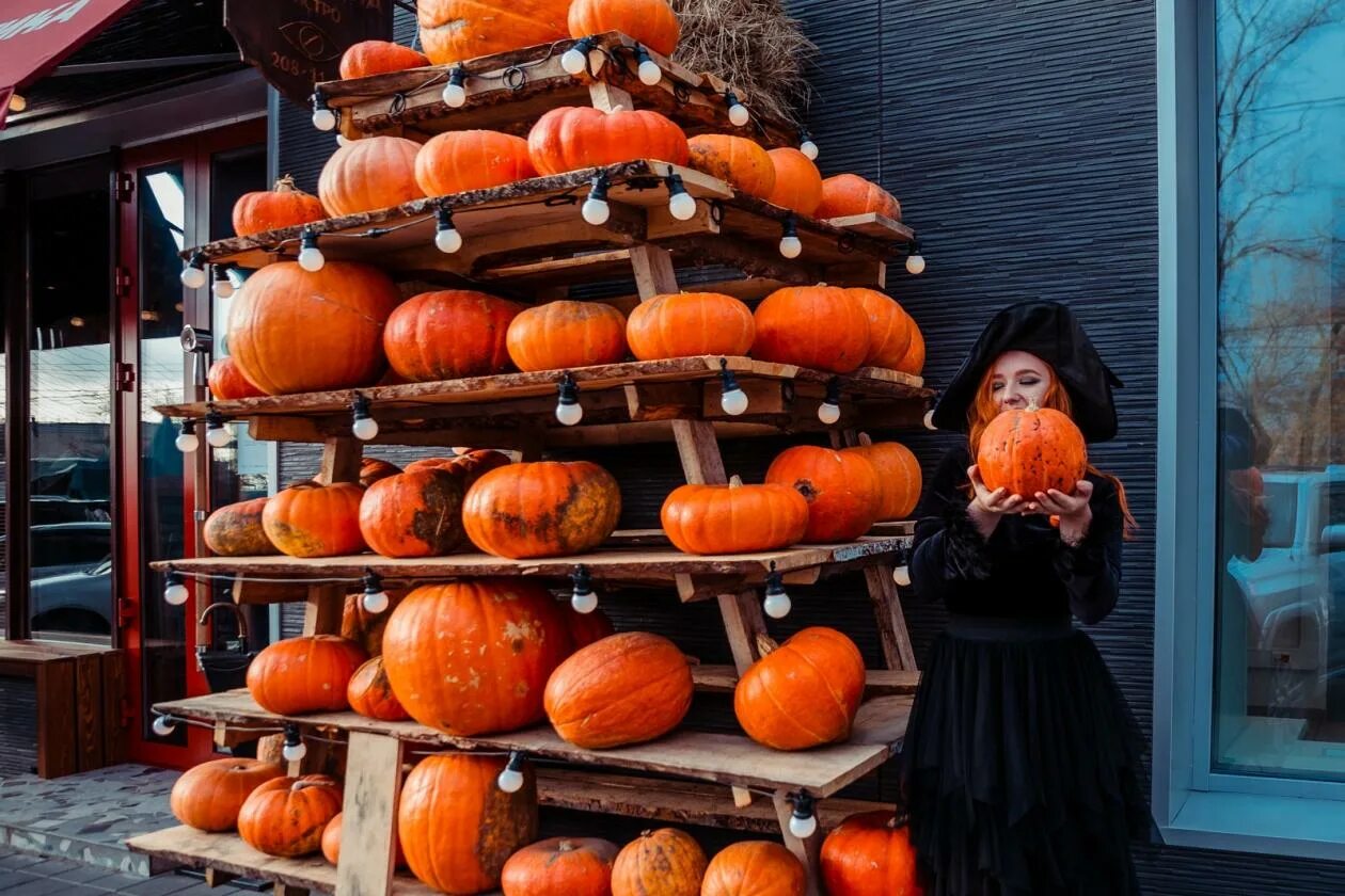 тыква на лавке. тыква на грядке. тыква на грядке. куда тыква. красивые тыквы на хэллоуин.