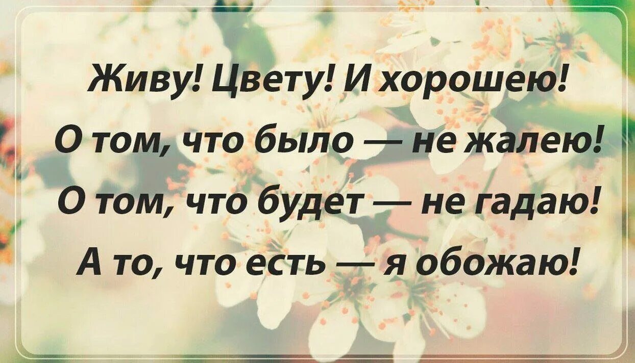 Отдельно жить хорошо. Живу цвету и хорошею цитаты. Хорошие цитаты. Жить хорошо афоризмы. Статусы.