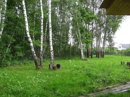 Погода в озерском районе московской