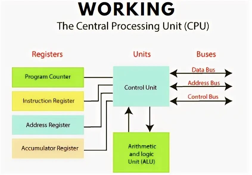 CPU registers. Registers and their working principle. Cpu functions