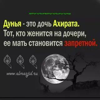 Что такое дунья