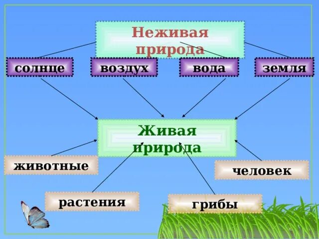 Живая и неживая природа. Объекты живой природы. Объекты живой и неживой природы. Тема Живая и неживая природа.