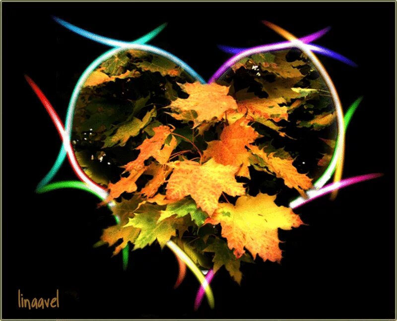 Утренняя роса на траве. Роса на листьях. Листья на солнце. Осенний листик блестяшка. Листва.