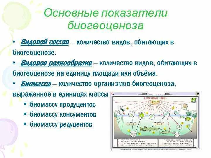 Биогеоценозе. Показатели биогеоценоза. Структура биогеоценоза и экосистемы. Биогеоценоз основные понятия.