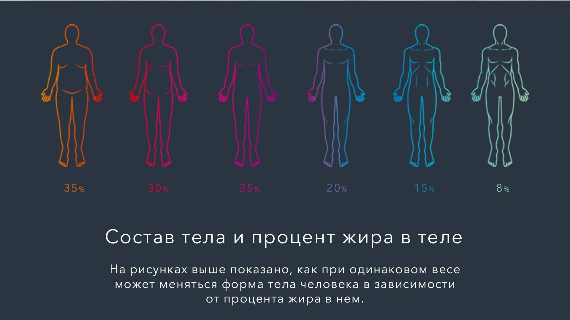 Состав тела. Соотношение жира и мышц в организме. Нормальный процент жира в теле. Процент жира в человеке.