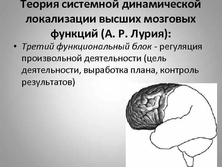 Лурия теория системной динамической локализации. Блоки головного мозга по а. р. Лурия. Функциональные блоки мозга по а.р Лурия. Функции третьего блока мозга Лурия.