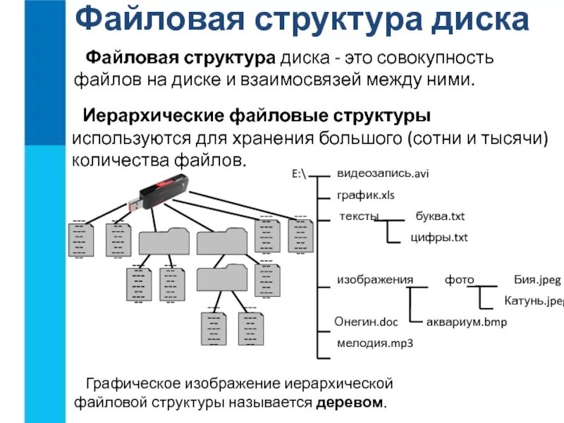Структура дисков файлы и каталоги. Файловая структура. файловая структура диска. иерархическая структура диска. простая файловая структура.