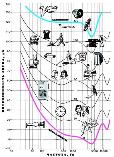 Частота звука. Частота звуков животных. Распределение частот звука. Громкость собаки в децибелах. Частота звука мыши