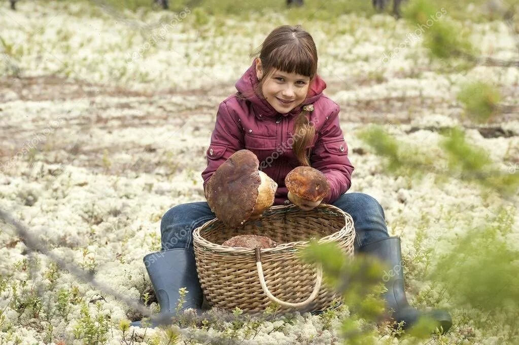 Девочка с корзинкой грибов. Дети с корзинками в лесу. Девушка собирает грибы в лесу. Дети собирают грибы в лесу.