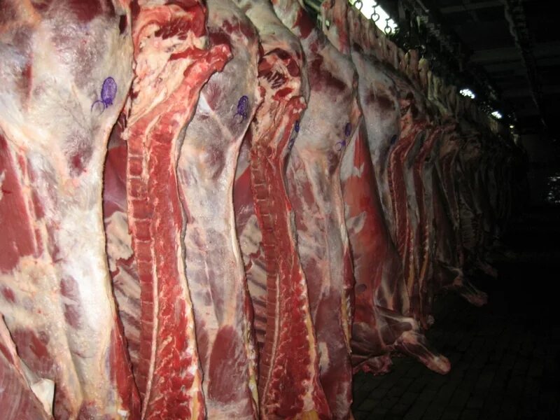 говядина тушах полутушах