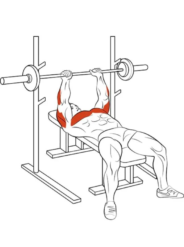 длинная головка трицепса. жим штанги узким хватом на трицепс. жим лёжа узким хватом техника. разгибание рук обратным хватом на трицепс. хваты на трицепс.