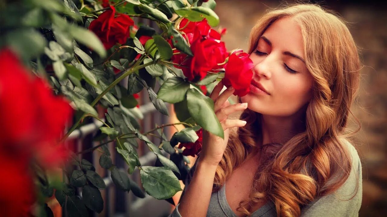 Чувствую запах цветов. Вдыхая розы аромат. Девушка нюхает розу. Девушка с розой фотосессия. Девушка нюхает цветы.