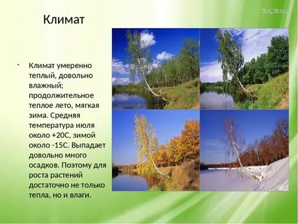 Лето будет умеренным